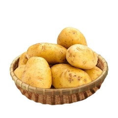 黄心土豆4.8斤-5.2斤