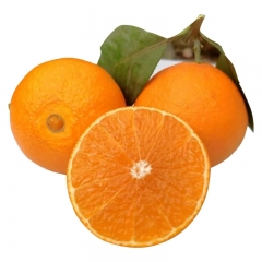 果冻橙2.8斤-3.2斤